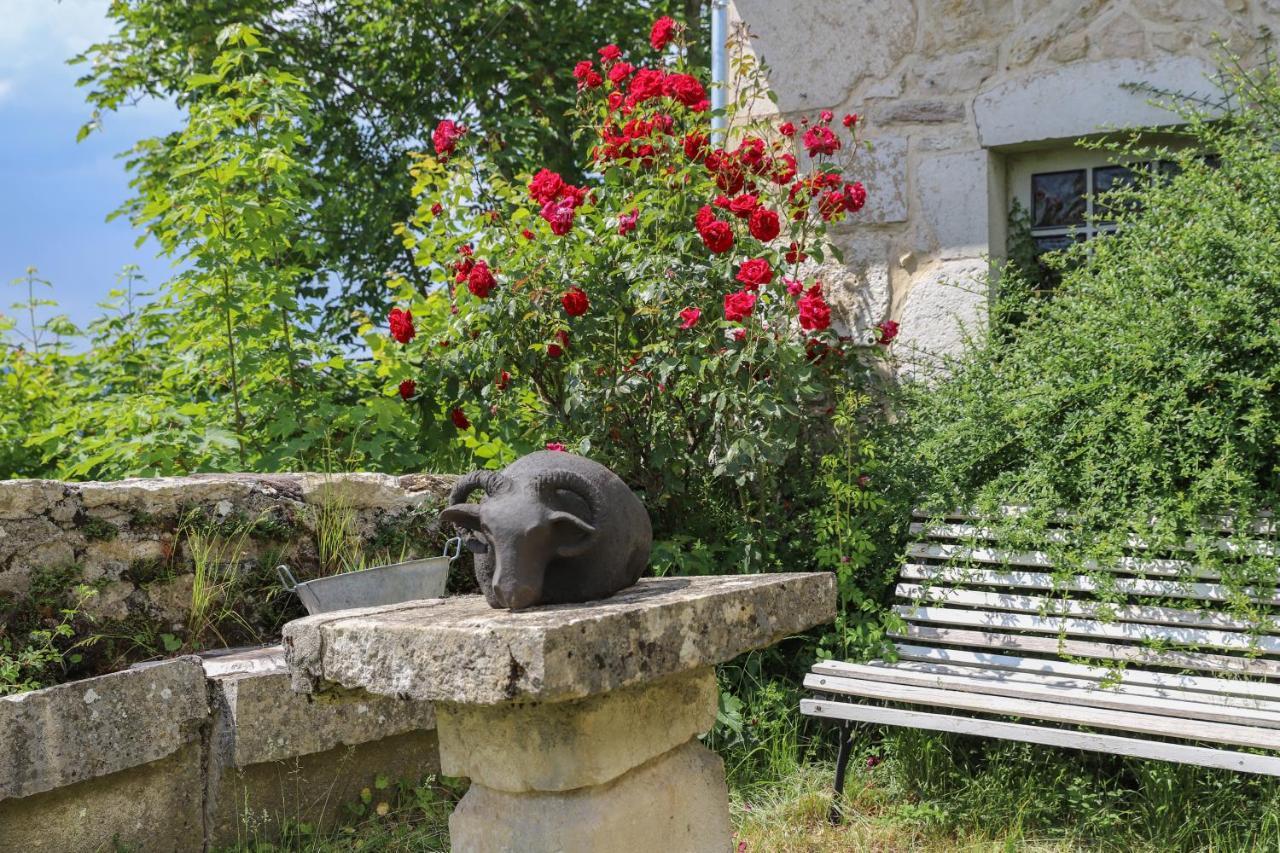 Chateau De Sothonod エクステリア 写真