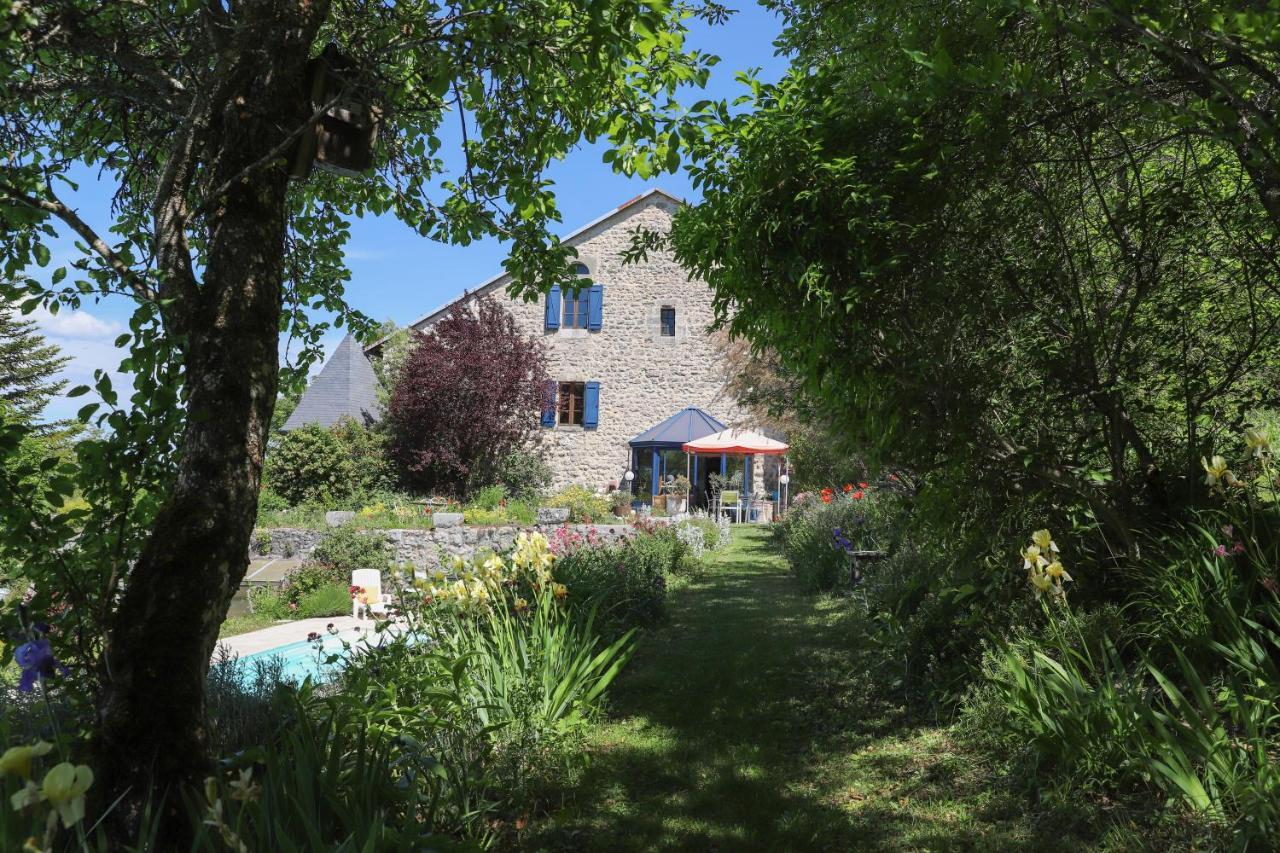 Chateau De Sothonod エクステリア 写真