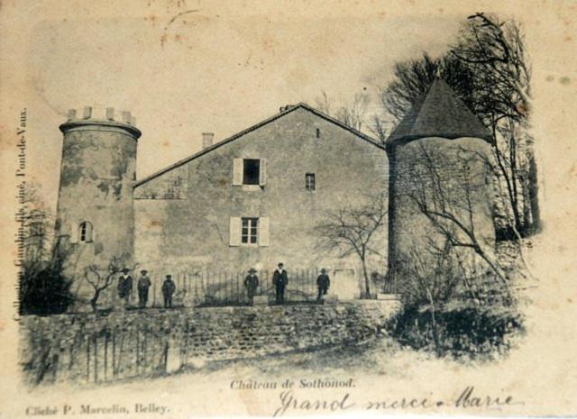 Chateau De Sothonod エクステリア 写真
