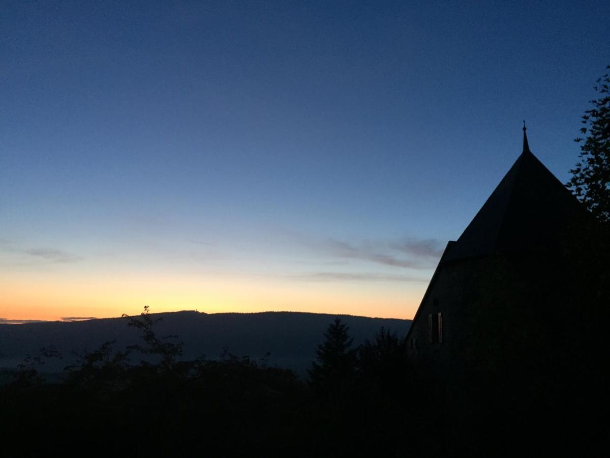 Chateau De Sothonod エクステリア 写真