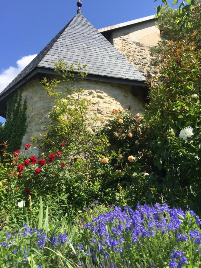 Chateau De Sothonod エクステリア 写真