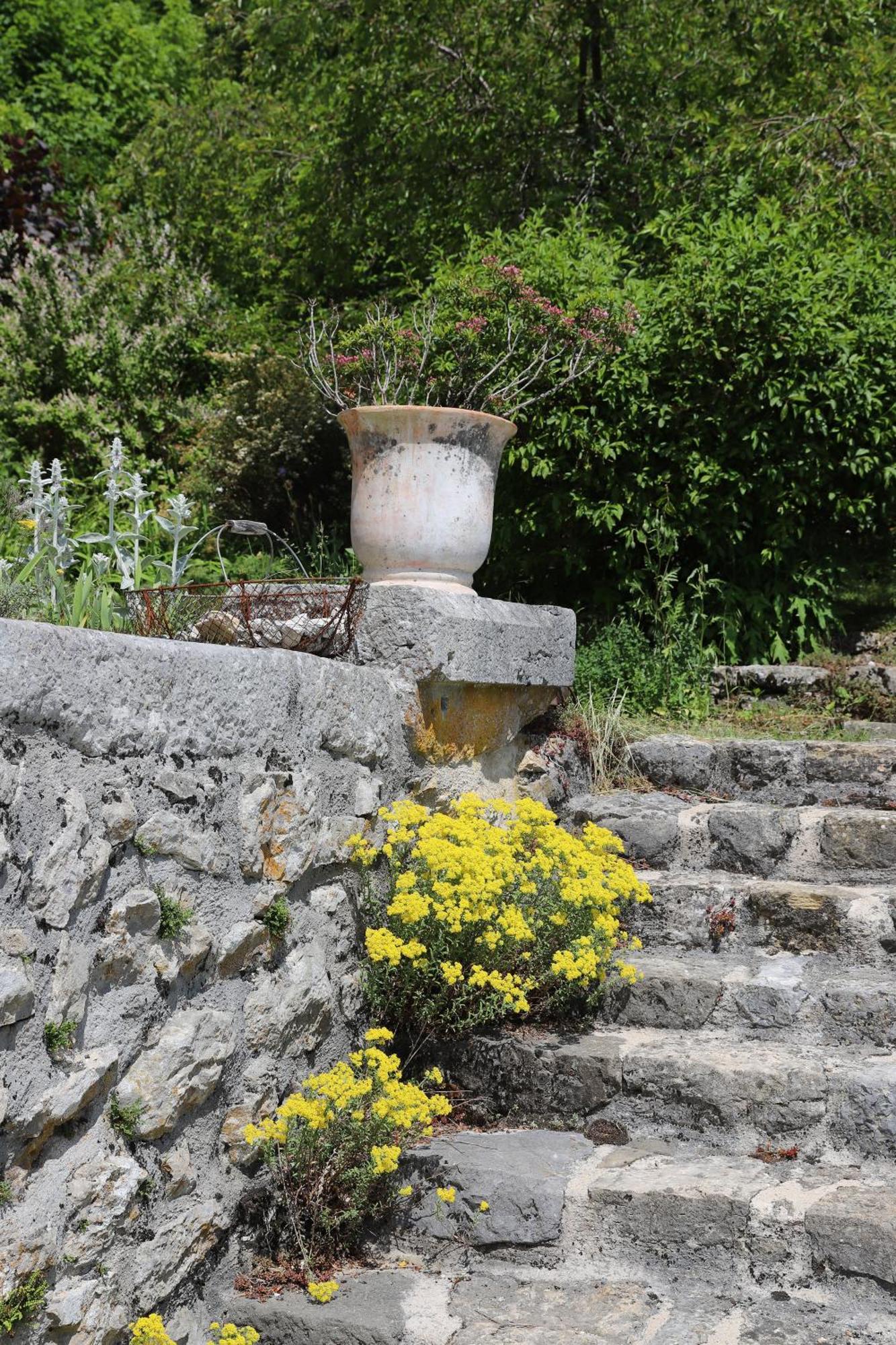 Chateau De Sothonod エクステリア 写真